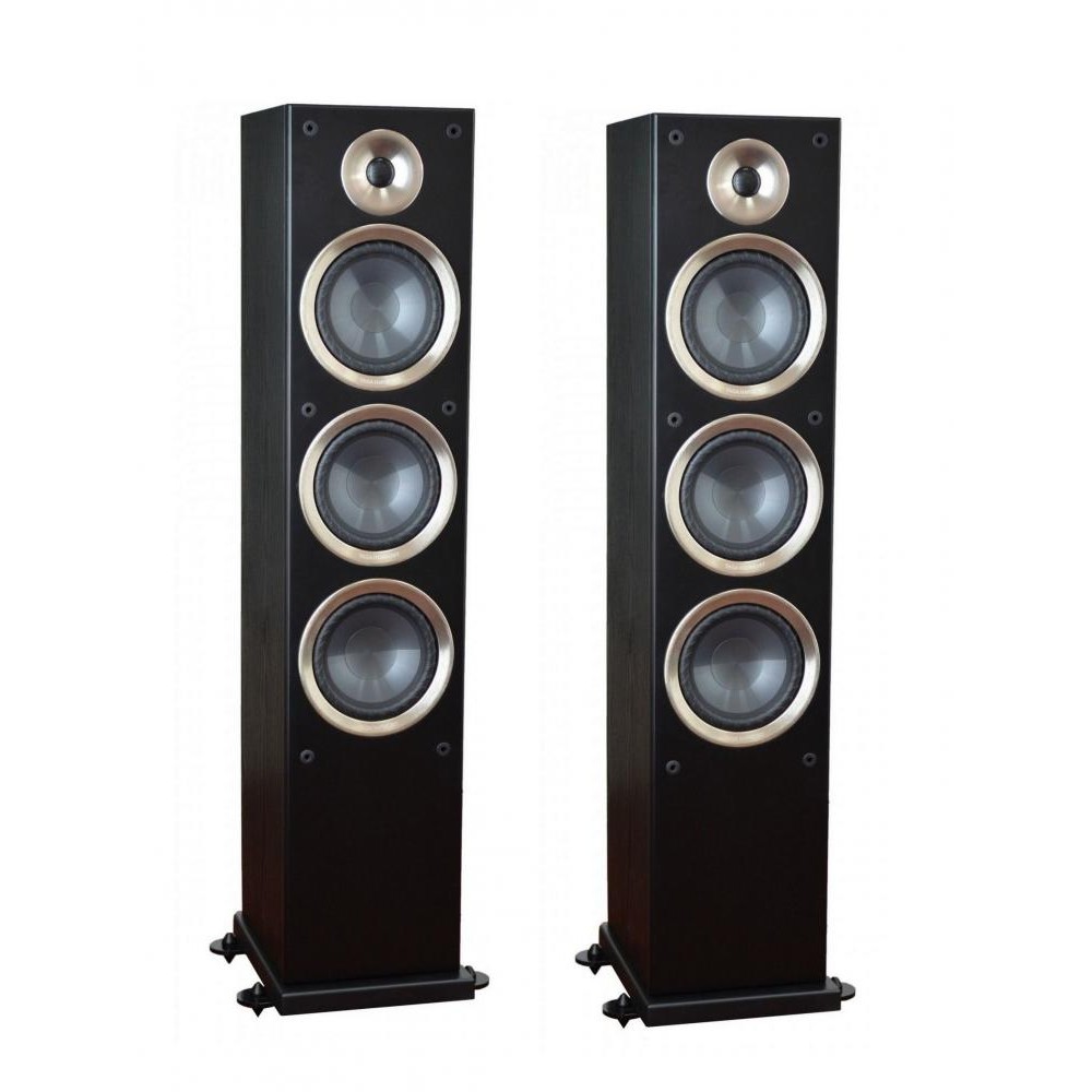 Напольная акустика Taga Harmony  AZURE F-100 v.2 Black