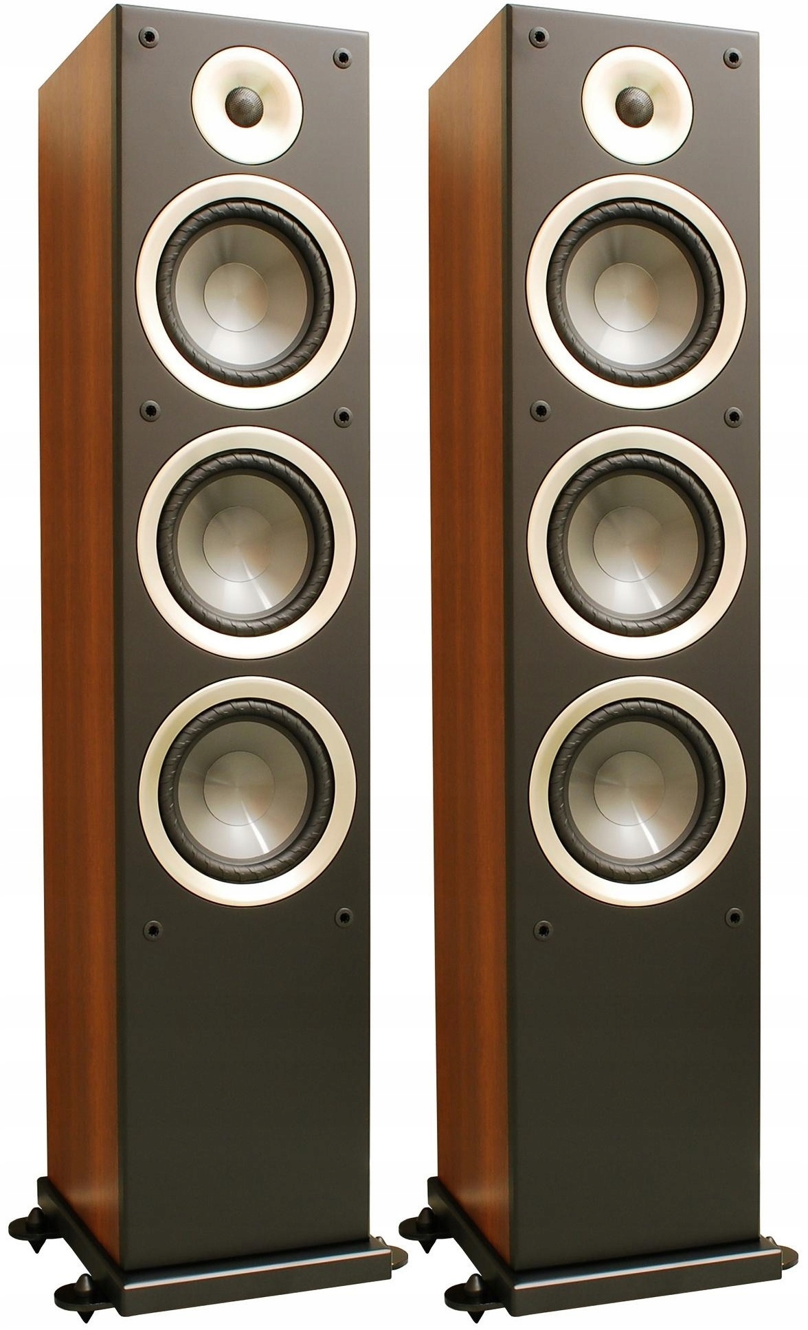 Напольная акустика Taga Harmony  AZURE F-100 v.2 WALNUT